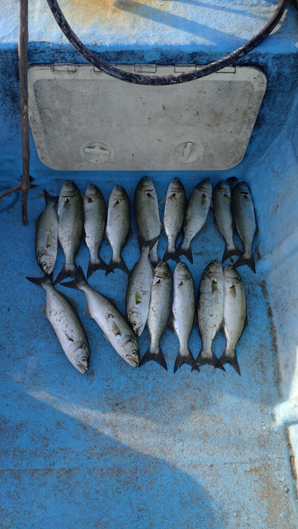 Лефер наредени на борда на лодката