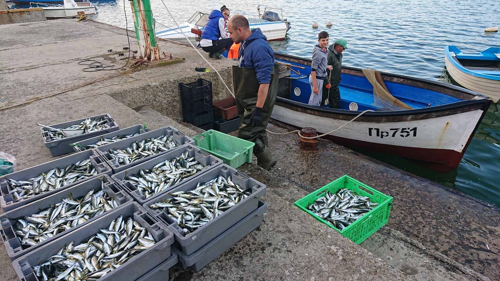 Пристанищна сцена
