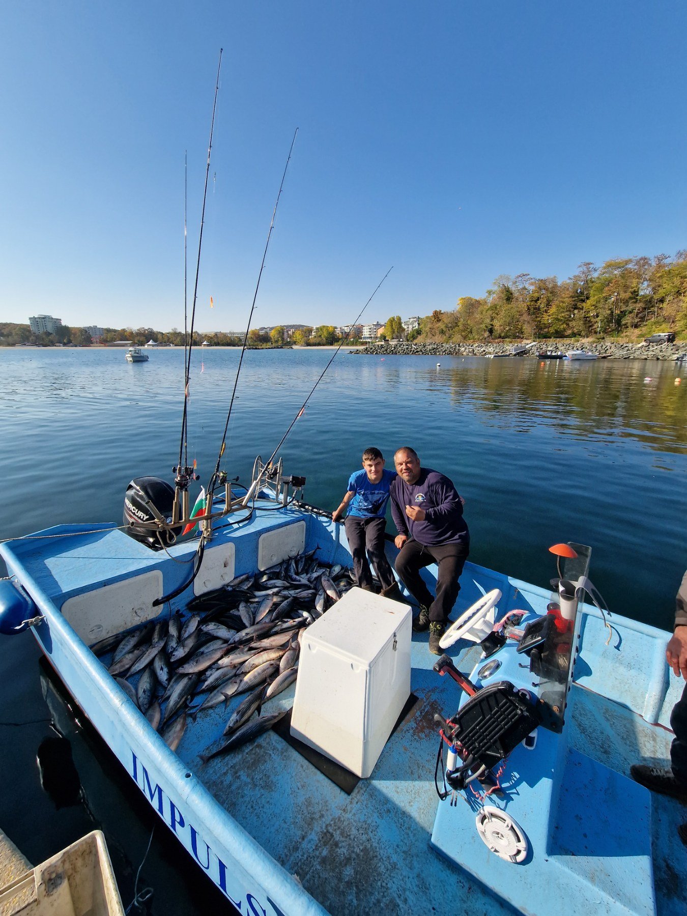 Паламуд улов на борда на Импулс