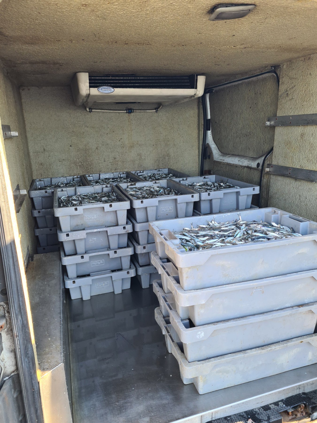 Хладилен бус с кашони прясна риба